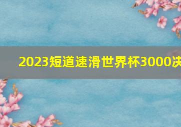 2023短道速滑世界杯3000决