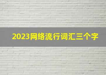 2023网络流行词汇三个字