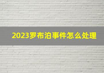 2023罗布泊事件怎么处理