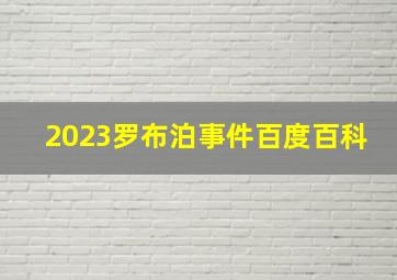 2023罗布泊事件百度百科