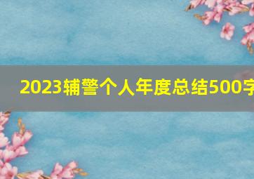 2023辅警个人年度总结500字