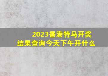 2023香港特马开奖结果查询今天下午开什么