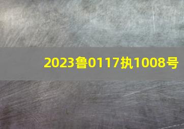 2023鲁0117执1008号