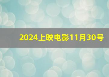 2024上映电影11月30号