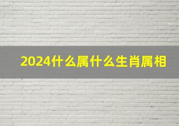 2024什么属什么生肖属相