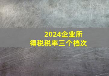 2024企业所得税税率三个档次