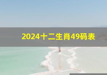 2024十二生肖49码表