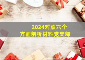 2024对照六个方面剖析材料党支部