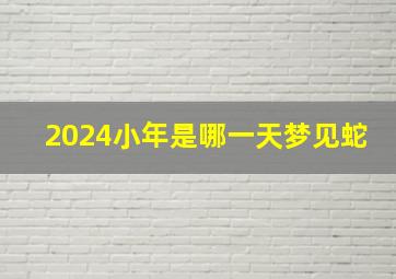 2024小年是哪一天梦见蛇