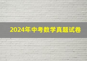 2024年中考数学真题试卷