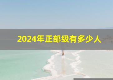 2024年正部级有多少人