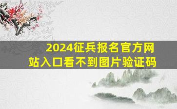 2024征兵报名官方网站入口看不到图片验证码