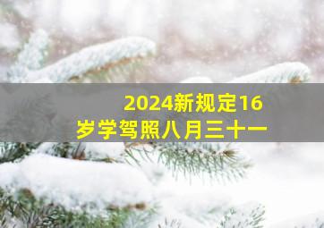 2024新规定16岁学驾照八月三十一