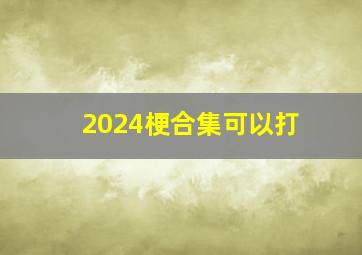 2024梗合集可以打