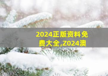 2024正版资料免费大全,Z024澳