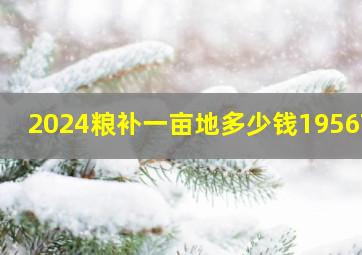 2024粮补一亩地多少钱195674