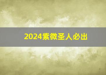 2024紫微圣人必出