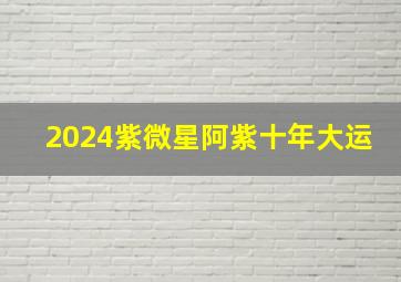 2024紫微星阿紫十年大运