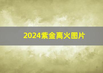 2024紫金离火图片