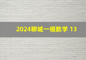 2024聊城一模数学 13