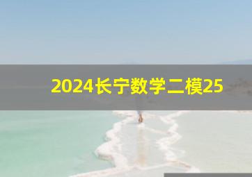 2024长宁数学二模25