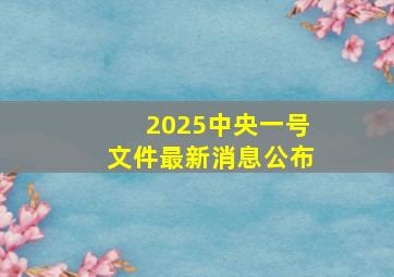 2025中央一号文件最新消息公布