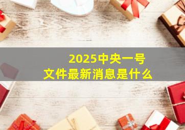 2025中央一号文件最新消息是什么