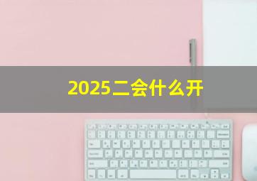 2025二会什么开