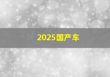 2025国产车