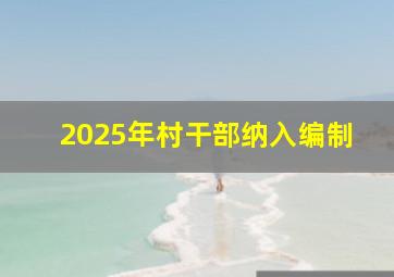 2025年村干部纳入编制