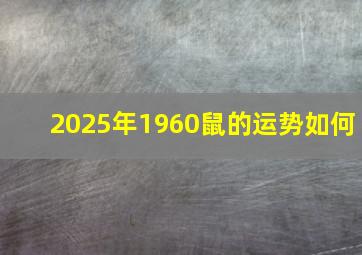 2025年1960鼠的运势如何