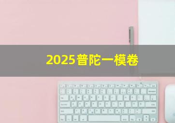 2025普陀一模卷