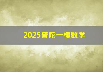 2025普陀一模数学