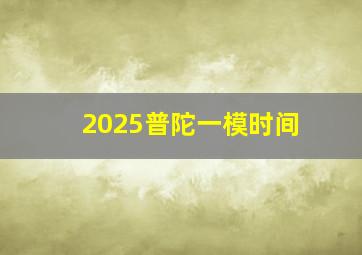 2025普陀一模时间