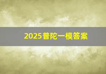 2025普陀一模答案