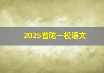 2025普陀一模语文