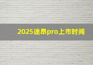 2025途昂pro上市时间