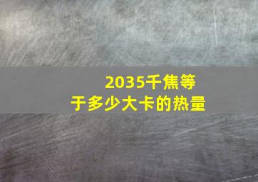 2035千焦等于多少大卡的热量