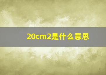 20cm2是什么意思