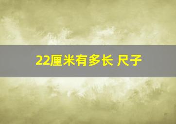 22厘米有多长 尺子