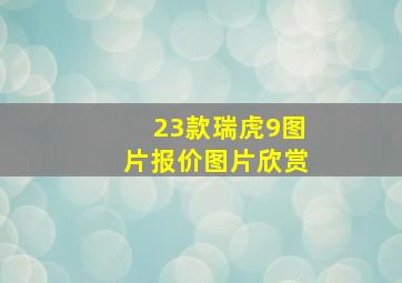 23款瑞虎9图片报价图片欣赏