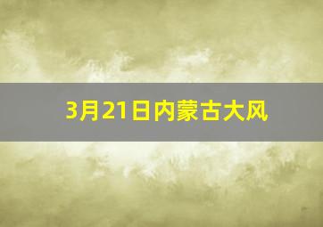 3月21日内蒙古大风