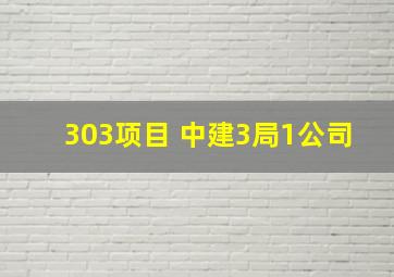 303项目 中建3局1公司