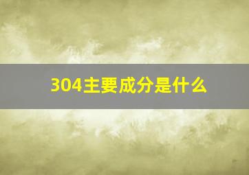 304主要成分是什么