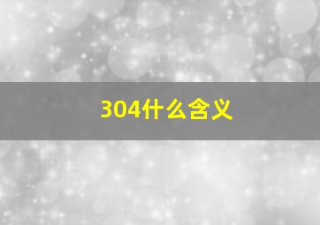 304什么含义