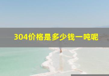 304价格是多少钱一吨呢