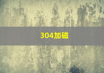 304加磁