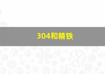 304和精铁