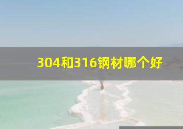 304和316钢材哪个好