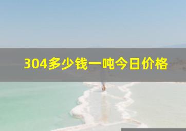 304多少钱一吨今日价格